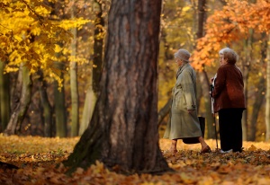 Европейското по футбол е приоритет на Чехия