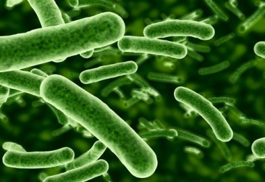 Рязко нарастват устойчивите към антибиотици бактерии в ЕС
