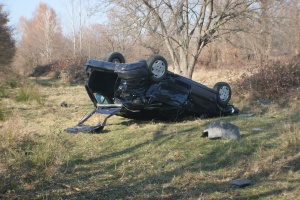 Кола „кацна“ на дърво в Гоце Делчев