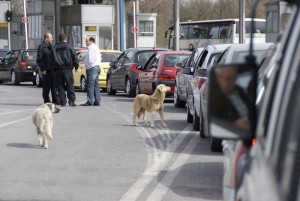 Македония и Сърбия си разменят престъпници