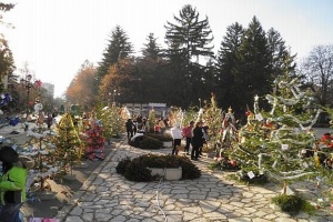 Разлог си има „Булевард на елхите“