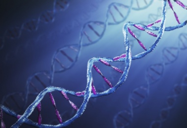 10 любопитни факта за вашето ДНК