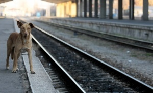 Официално вече стачка няма