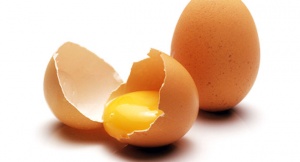 Само яйца от свободни кокошки в ЕС
