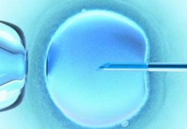 От замразените ембриони се раждат по-здрави бебета