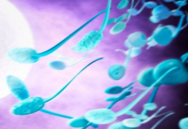 9 фактора, които убиват сперматозоидите