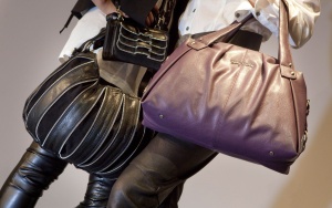 Тайнствен крадец на чанти вилнее в Пловдив