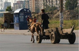 Спират каруците в Пловдив
