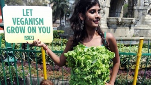 Манекенка промотира вегетарианството с рокля от маруля
