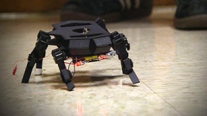 Робот – ловец на хлебарки, създадоха в Израел