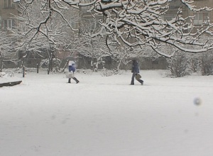 Снегът блокира Добрич