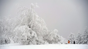 До минус 25 градуса ще паднат температурите утре