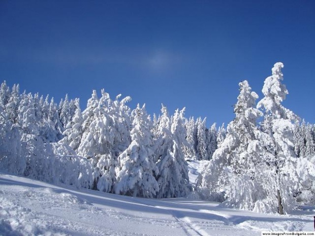 Природозащитници ще бранят Витоша пред Народното събрание