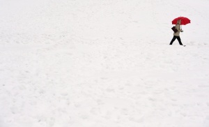 Половин метър сняг във Видинско