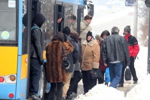 250 гратисчии хванаха за ден в София