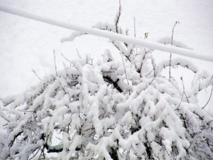 98 населени места в Югоизточна България без ток