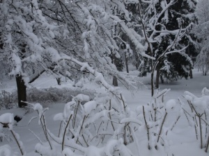 Удължават бедственото положение в Шумен