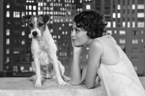 Връчиха „кучешките Оскари“