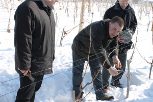 Найденов: България бележи ръст в експорта на вино