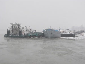 Бизнесът губи много от замръзналата река Дунав