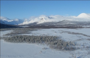 Швед оцеля 2 месеца в колата си, затрупана от сняг