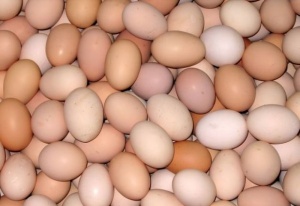 Хванаха 248 000 полски яйца без маркировка