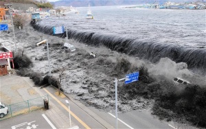 „Острови“ на сушата ще пазят Япония от цунами?
