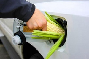 Биогоривата ще се използват масово след 2014 г.