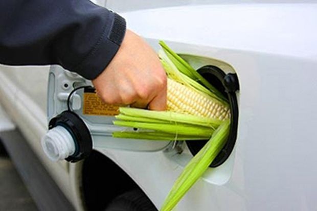 Биогоривата ще се използват масово след 2014 г.