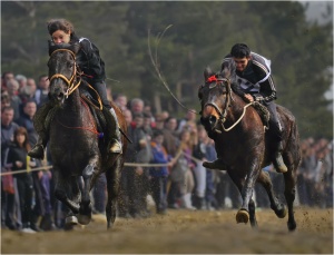 Честит Тодоровден!