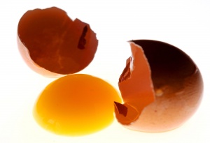 Няма картел при цените на яйцата