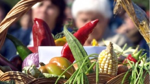 Голяма част от българските биопродукти са за износ