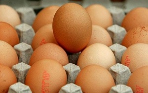 Яйцата: поскъпват на едро, поевтиняват на дребно