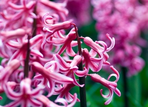 Температурите в понеделник ще достигнат 26°