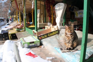 11 температурни рекорда до 14 ч. в понеделник