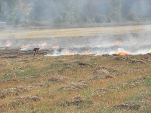 512 пожара за денонощие заради запалени стърнища