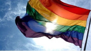 Референдум в Словения за правото на гей двойки да осиновяват деца