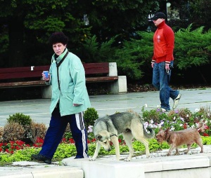 Столична община ще глобява за „цапащи“ кучета