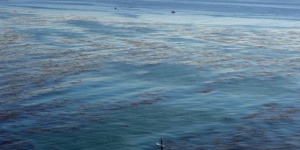 Разлив на взривоопасен газ край Шотландия