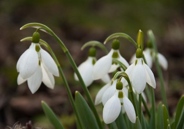 Днес облачно, без валежи
