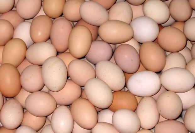 Полски яйца срещу високите цени в България