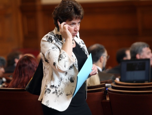 Външно иска Плугчиева за посланик в Швейцария