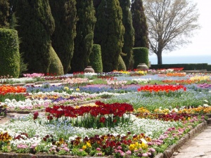 "Парад на лалетата" в Балчик