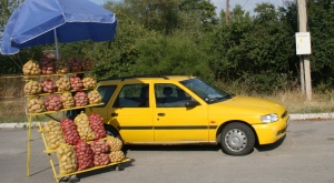 90% от българските картофи на боклука