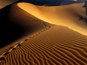 Под пустините в Африка има огромни количества вода, твърдят геолози
