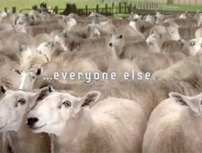 В първото видео за Samsung Galaxy S III има овце