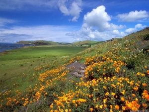 Замирисва на море през май