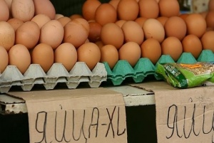 С 22% по-евтини яйца през април