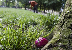 Ловци по следите на 505 000 великденски яйца в Брюксел