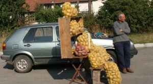 5 млн. лв. за производителите на картофи през 2012 г.